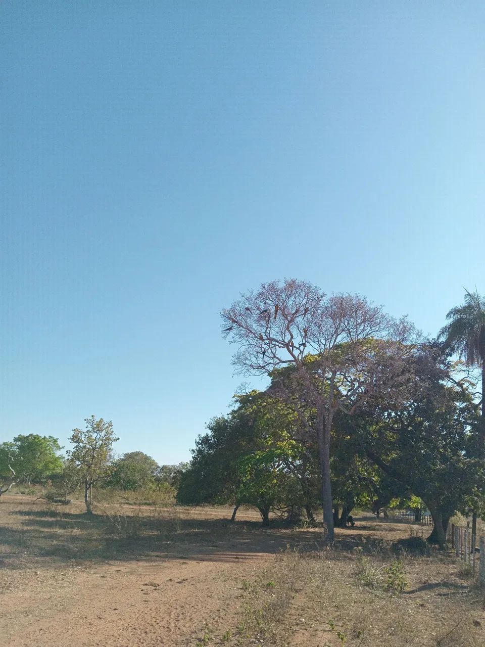 Foto - Cidade Ocidental - Centro