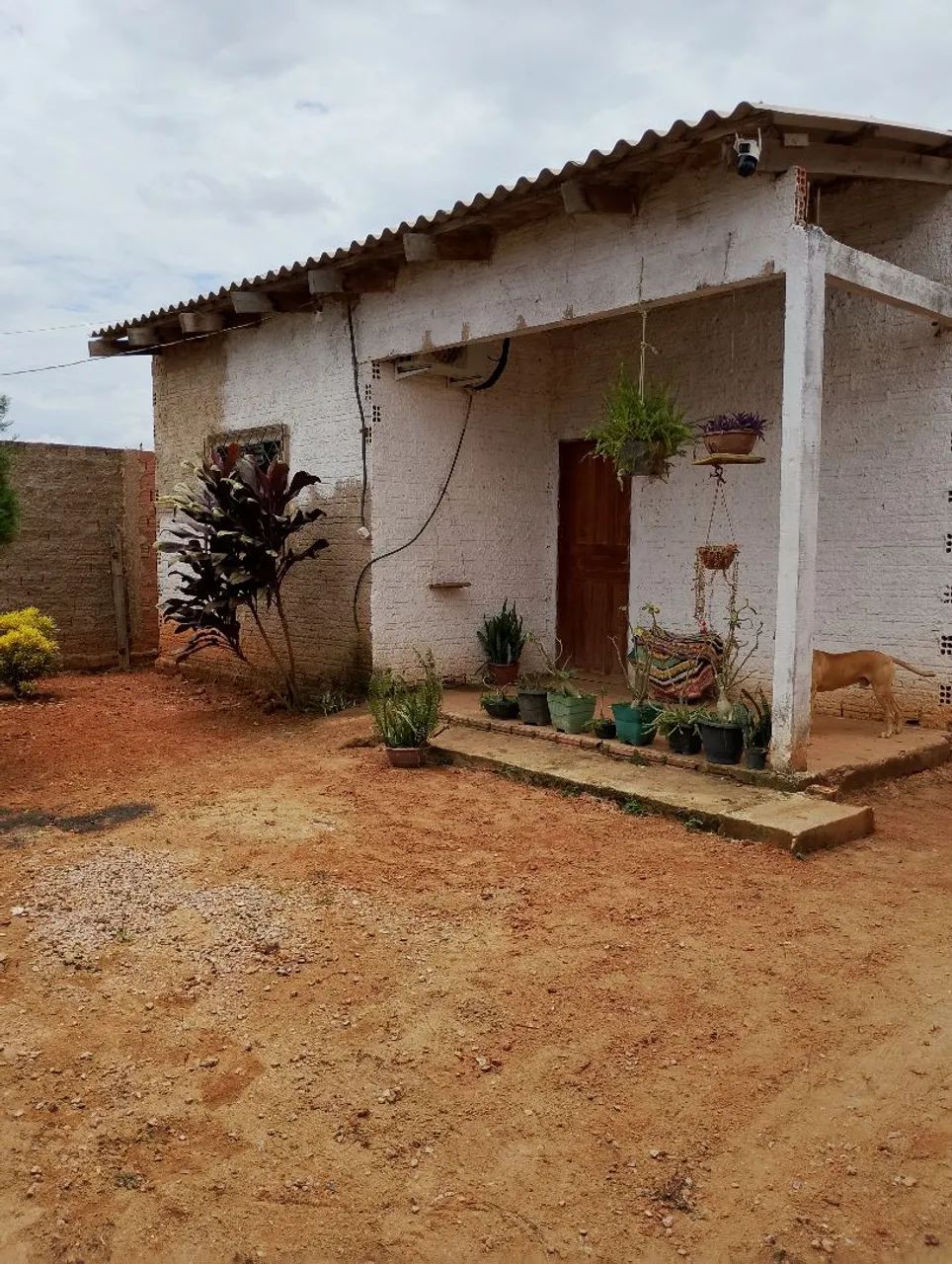 Foto - Porto Velho - Cuniã
