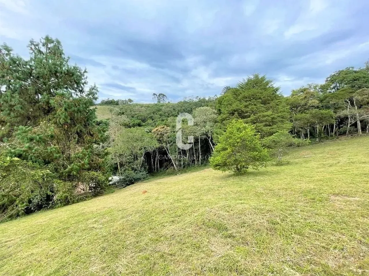 Oportunidade no Reserva Figueiredo - 1.111,52 m² - R$ 850.000,00 - Campos do Jordão - SP