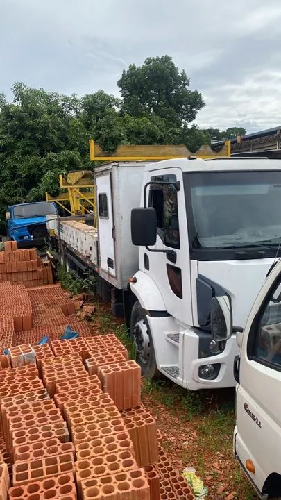 Ford Cargo 2429 ano 2015 Guindauto