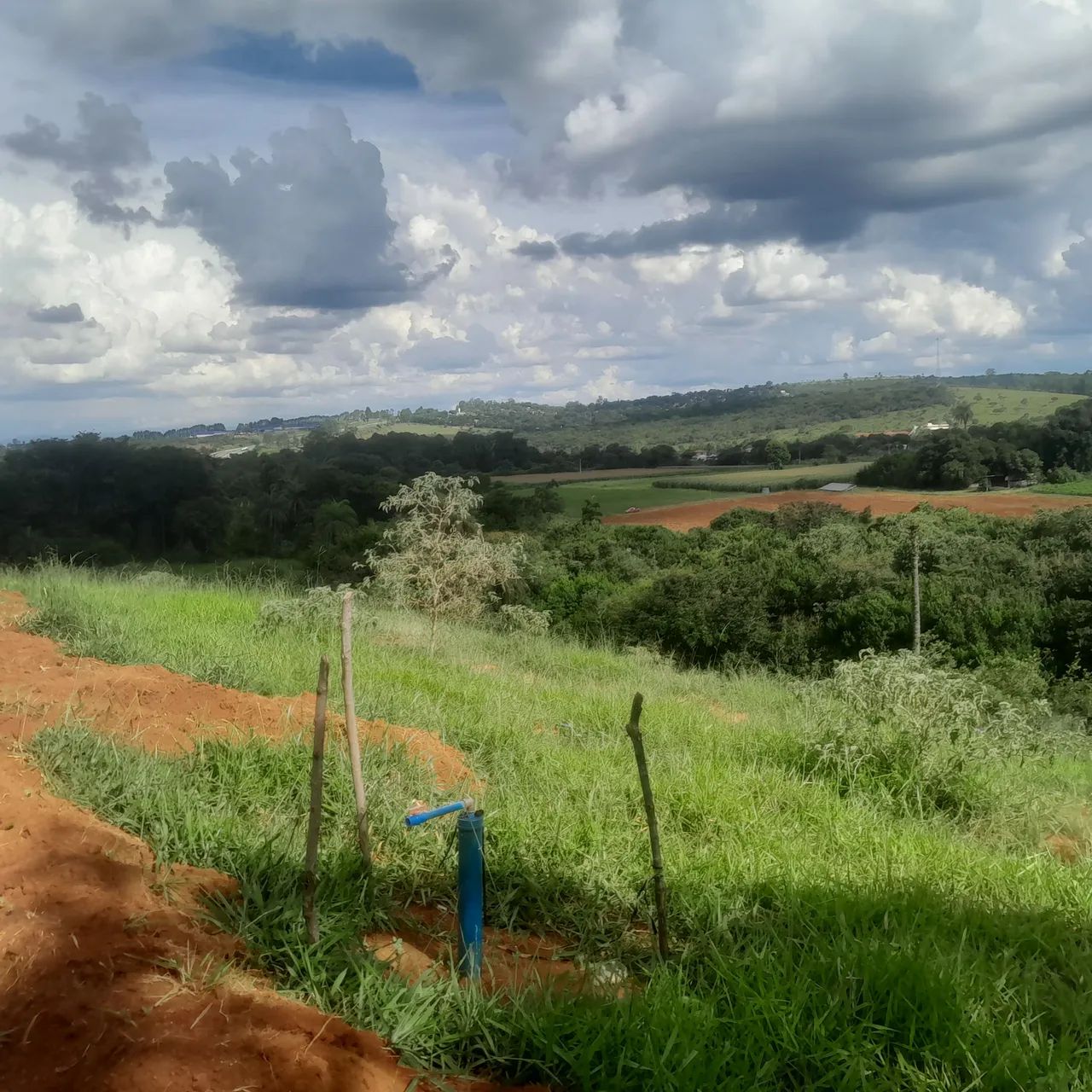 Terreno com área verde em região tranquila - Foto 3