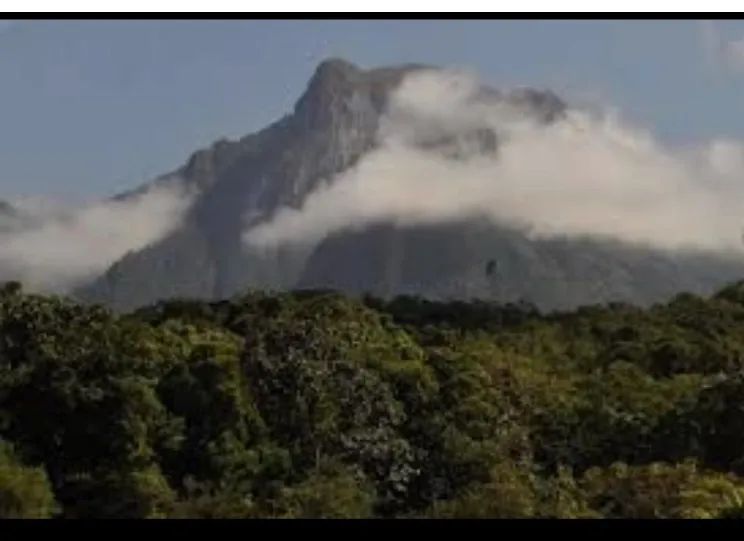 Vendo ou troco  - Foto 3