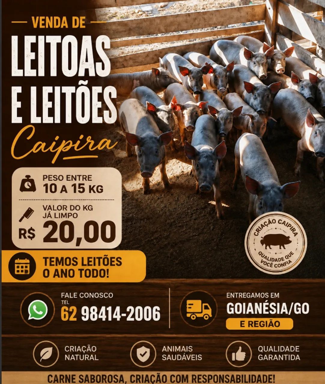 LEITOAS E LEITÕES CAIPIRAS 