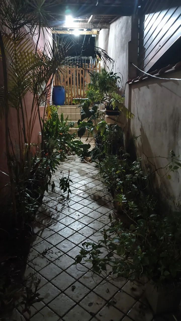 Foto - Pinheiral - Paraíso