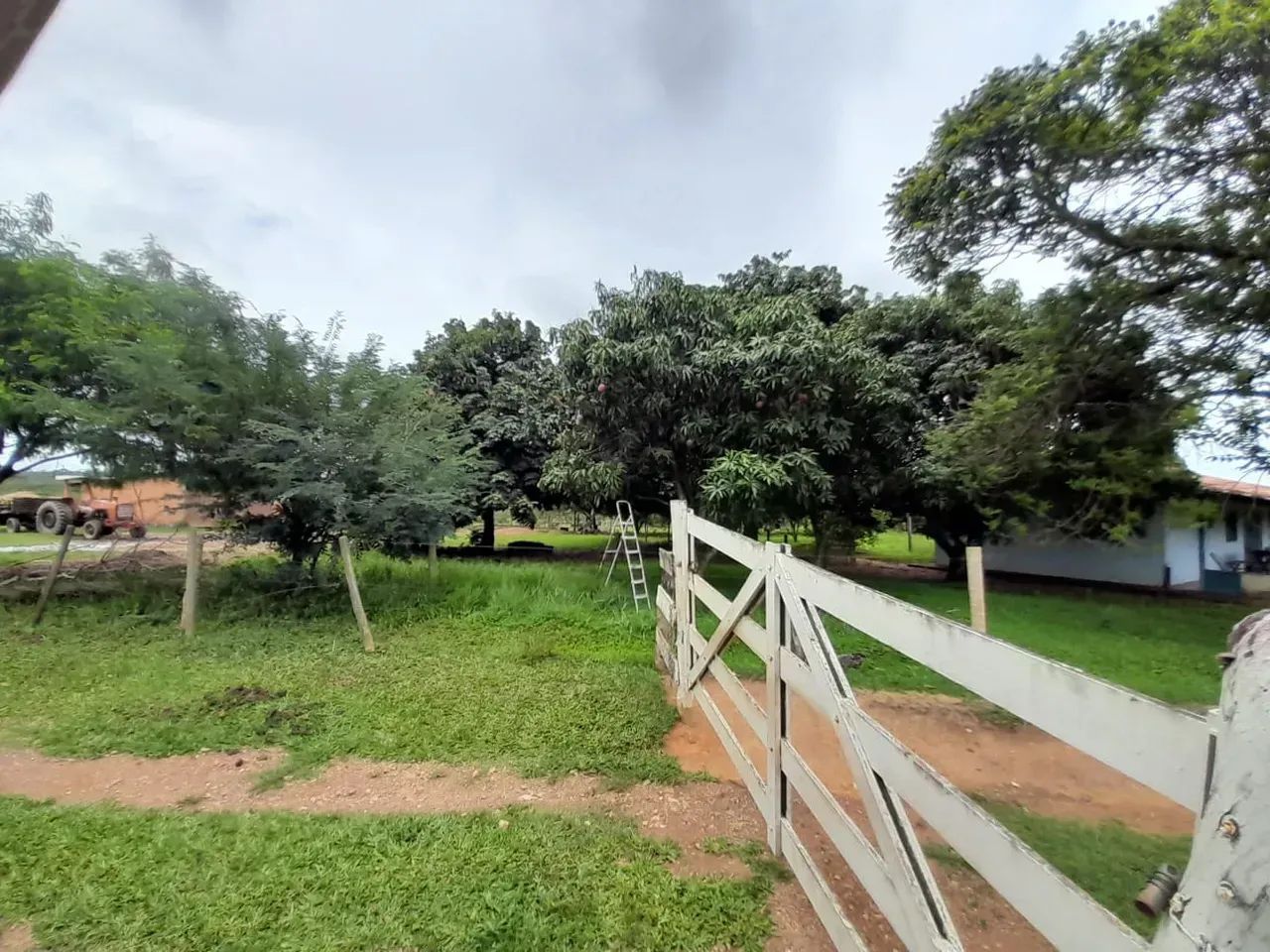 Fazenda a venda em Davinópolis Goiás!!!