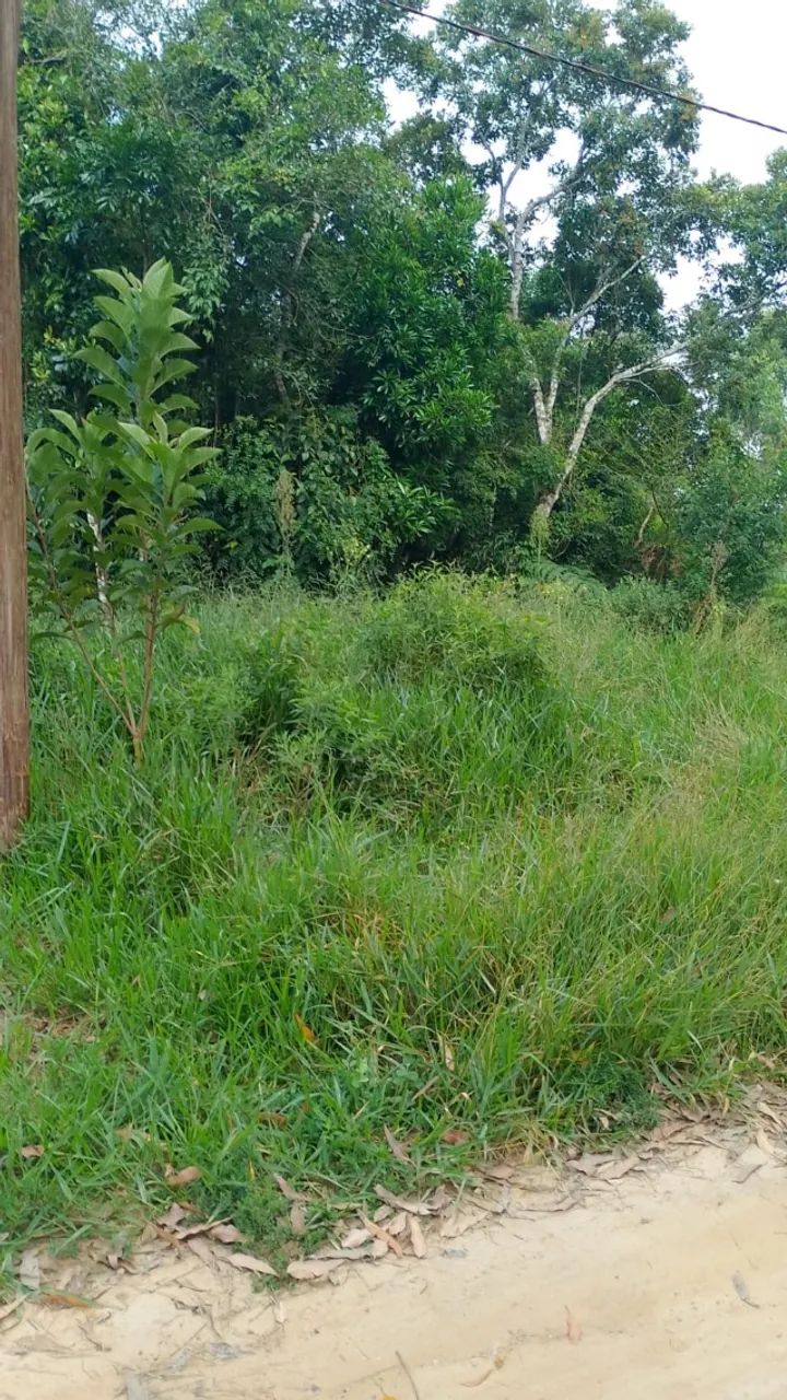 Foto - Ibiúna - 