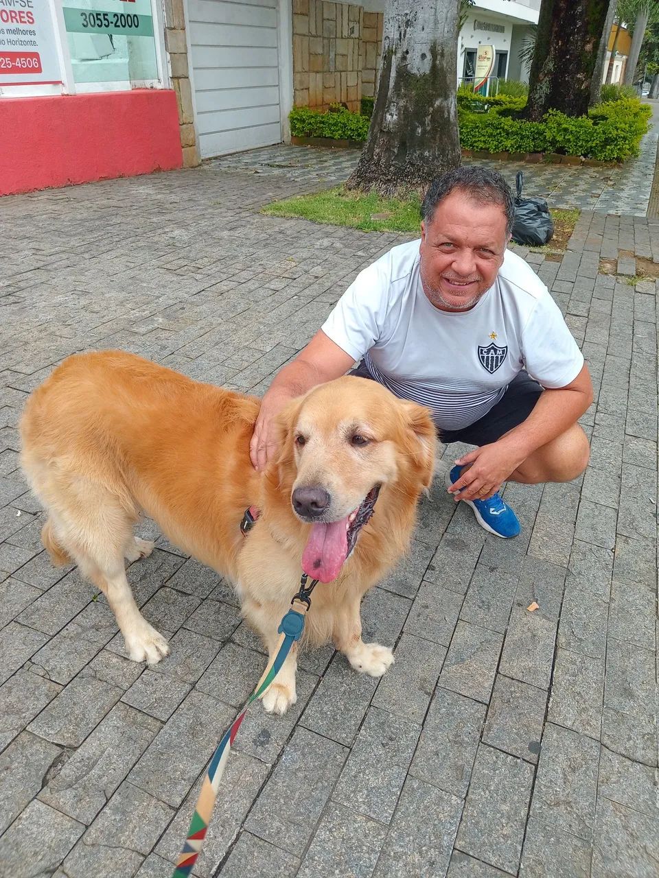 Golden Retriever  - Foto 2