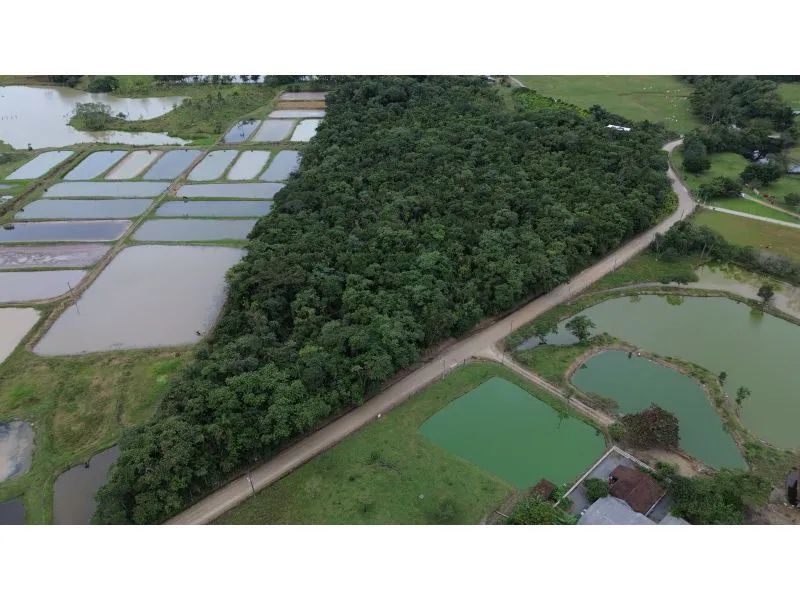 Terreno JOINVILLE - SC - Foto 4