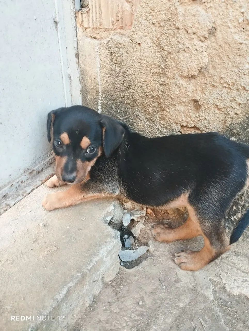 Doaçao - Foto 5