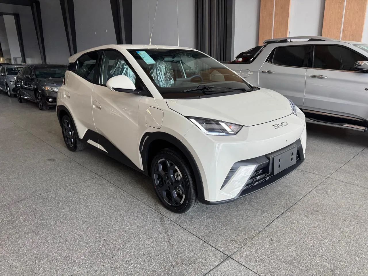 BYD Dolphin Mini (Elétrico) 2027 - Foto 2