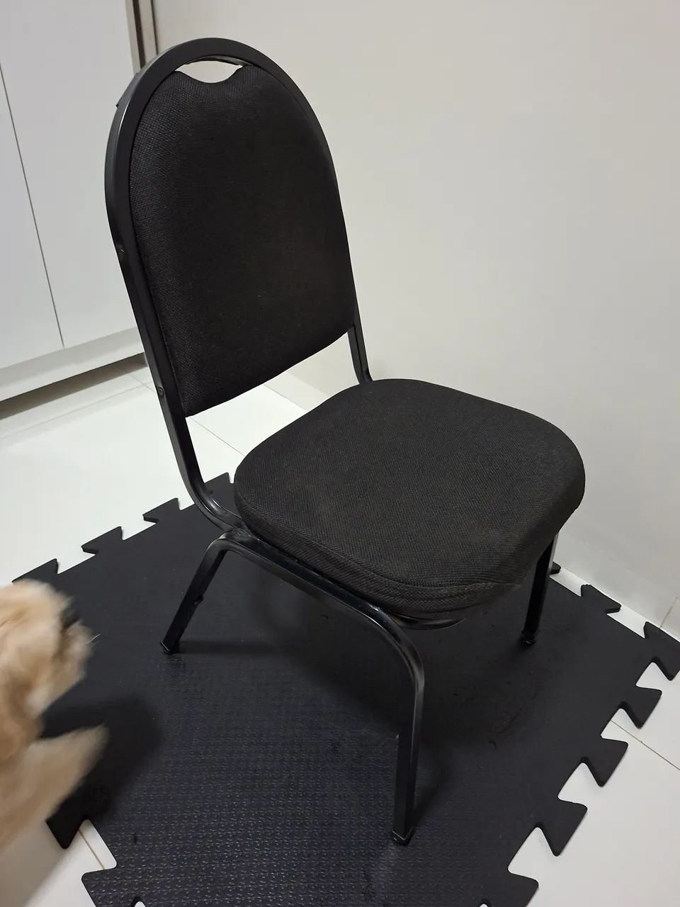 Cadeira Empilhável Coletiva da Cavaletti