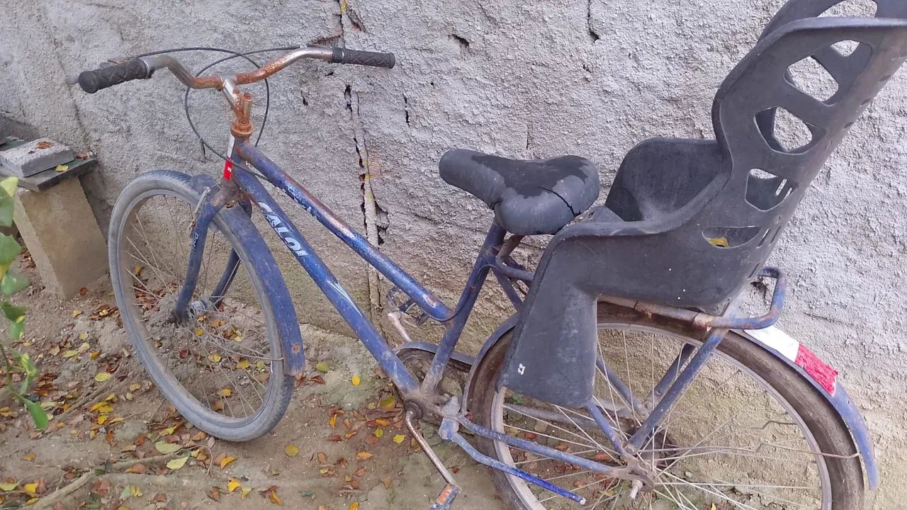 Bicicletas