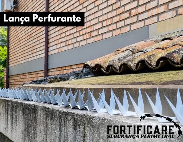 Cerca Concertina instalada - Foto 4