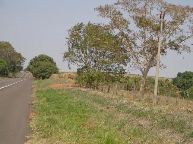 Foto - Irapuru - 
