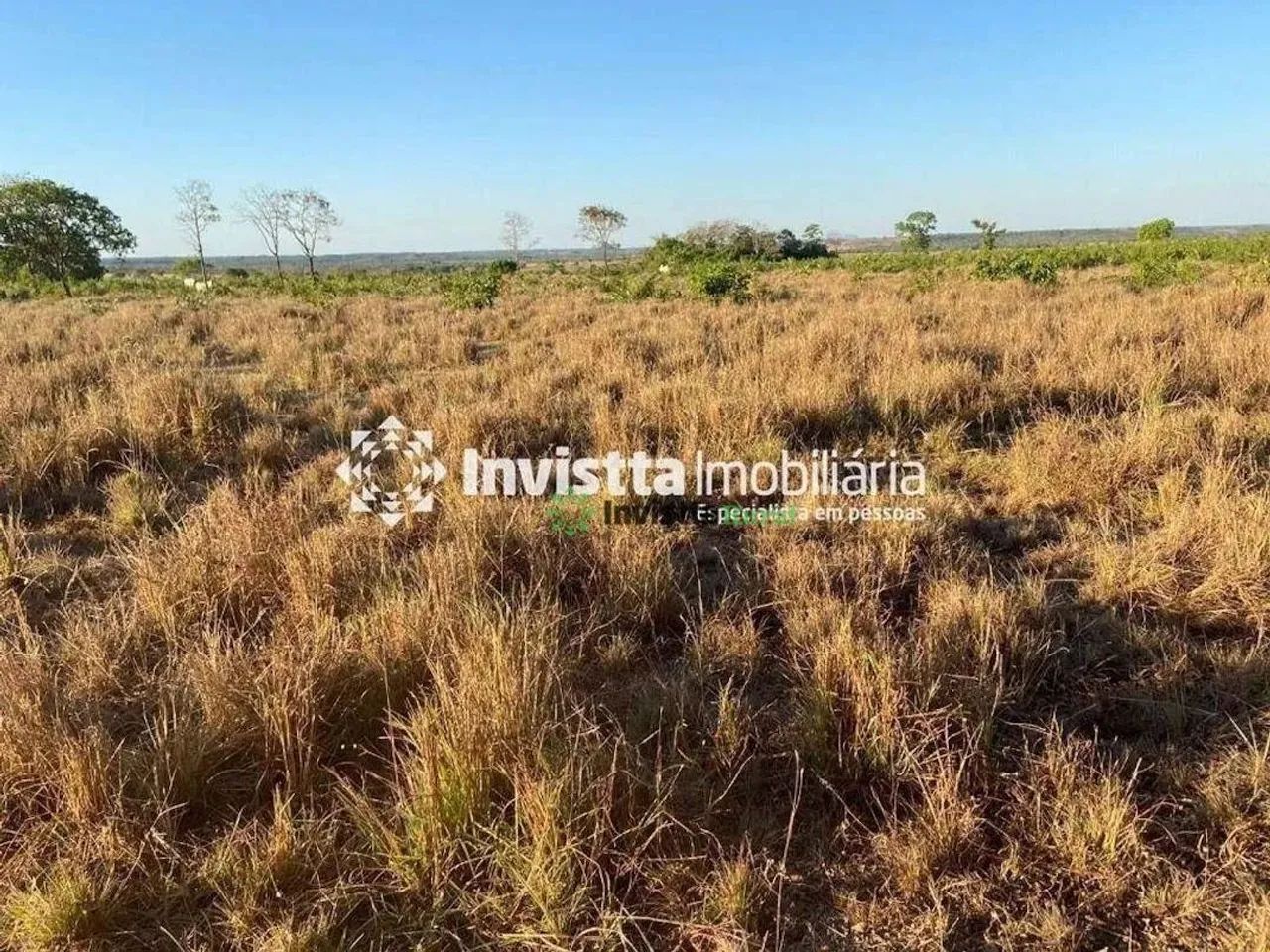Fazenda à venda com 52 alqueires, excelente logística e aptidão agrícola - Foto 3