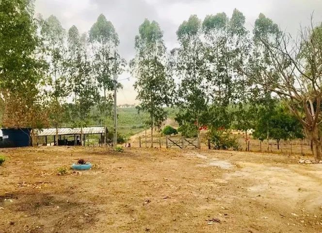 FAZENDA EM  VARGEM GRANDE - Foto 4