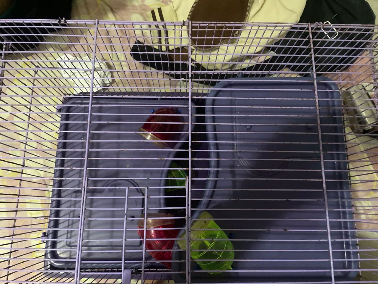 Gaiola pra roedores - Foto 3