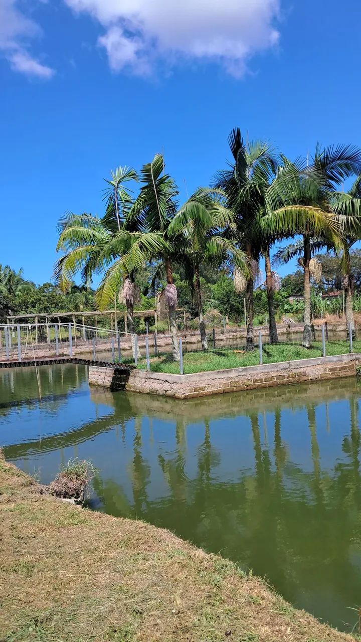 Sítio / Pesque e Pague à venda em Santa Rosa do Sul  - Foto 2