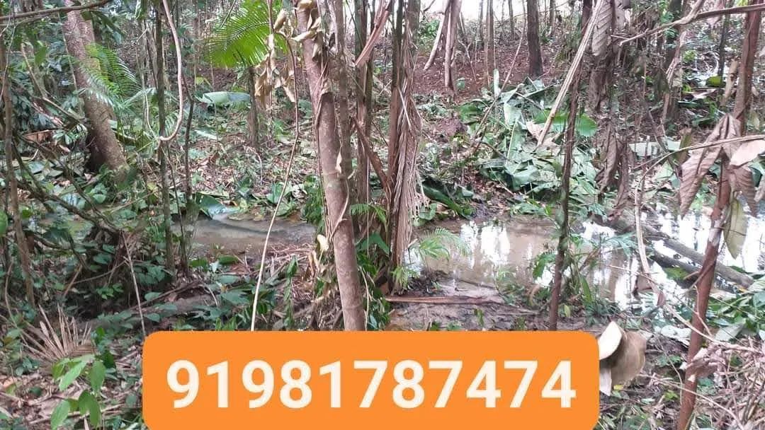 Terreno com olho d'água corrente - Foto 2