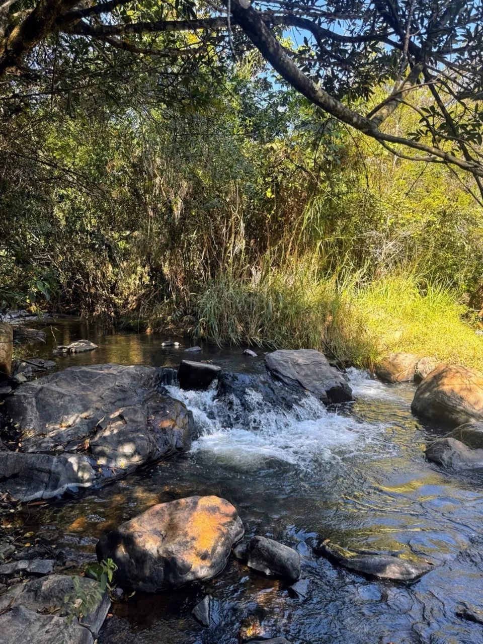 Vende-se terreno em Taquaraçu de Minas sítios chácaras 