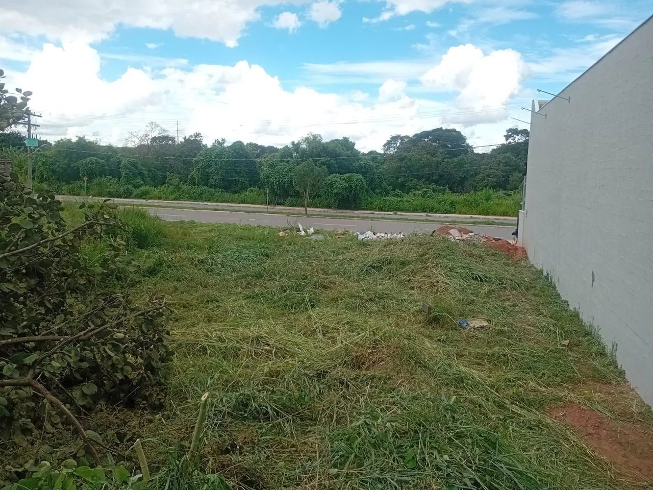 Roçagem de Mato Alto  - Foto 3