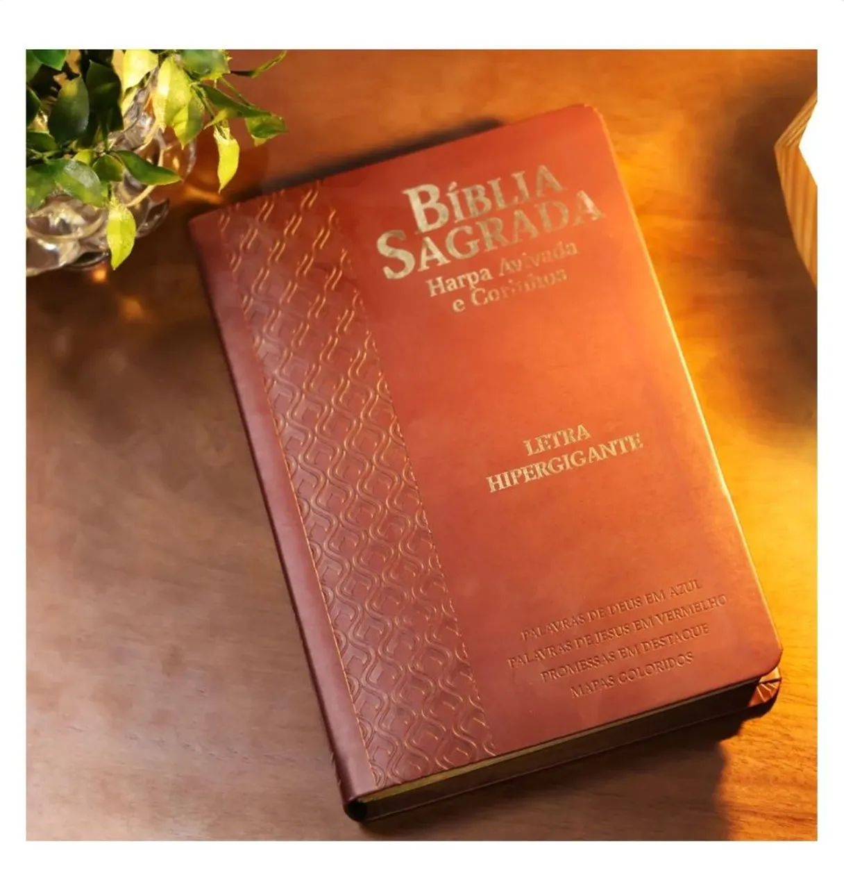 Biblia sagrada - Foto 2
