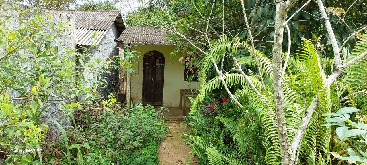 Sítio com pequena casa - Foto 2