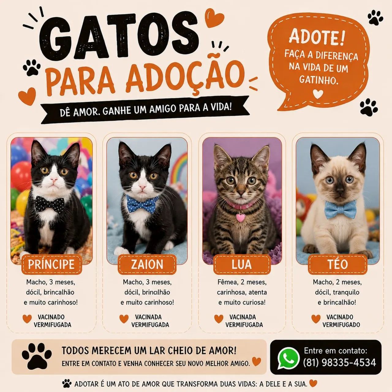 Gatinhos para doação 