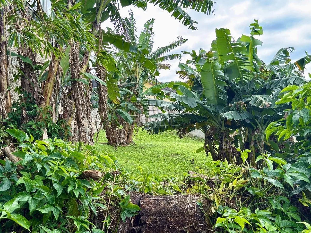 Terreno à venda com ótima localização no Itaguaçu - Foto 3