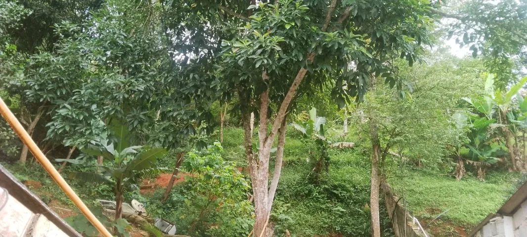 Foto - São Lourenço da Serra - 