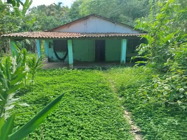 Galpão e casa em sítio para alugar - Foto 3