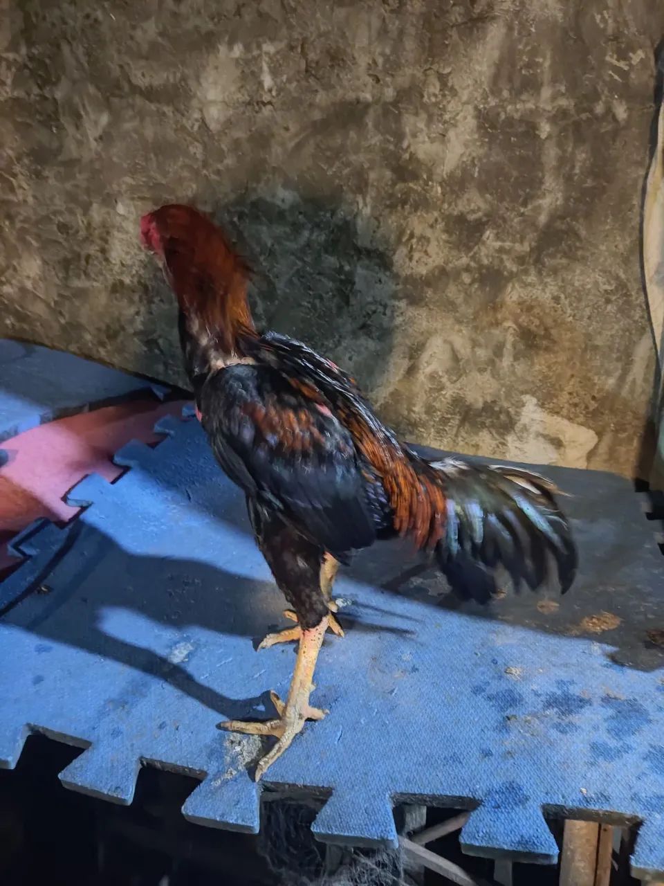 Mura - Foto 4