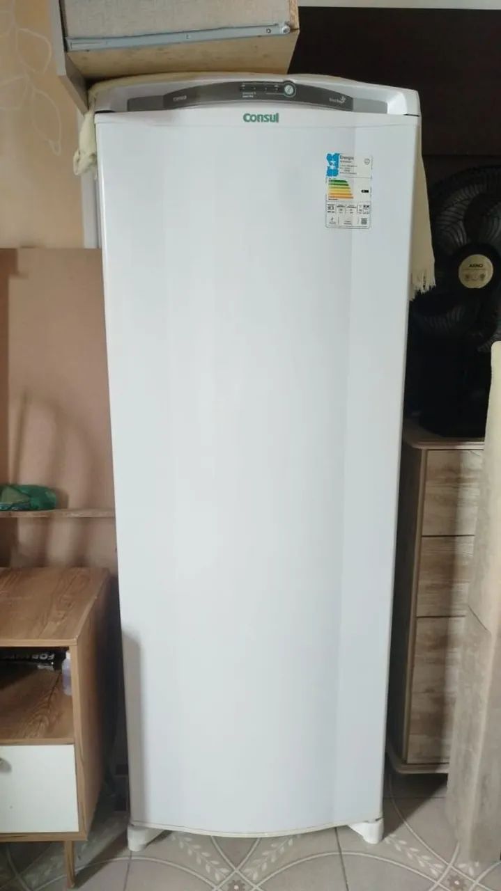 Geladeira 320 litros