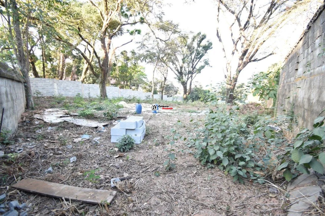 Lote com 500m² no bairro Santa Amélia - Foto 4