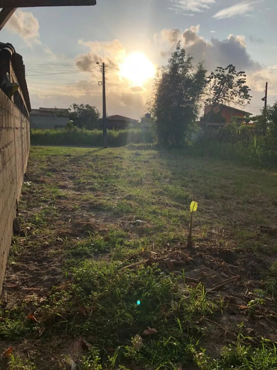 Foto - Taboão da Serra - Parque Pinheiros