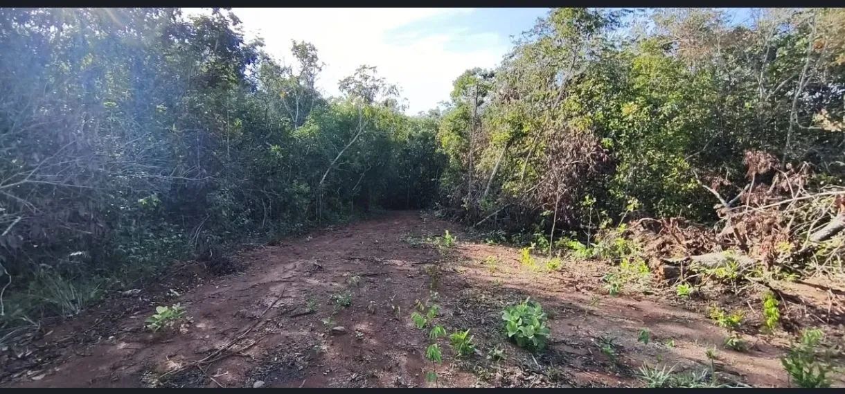 CHÁCARA EM BELA VISTA DE GOIÁS  - Foto 4
