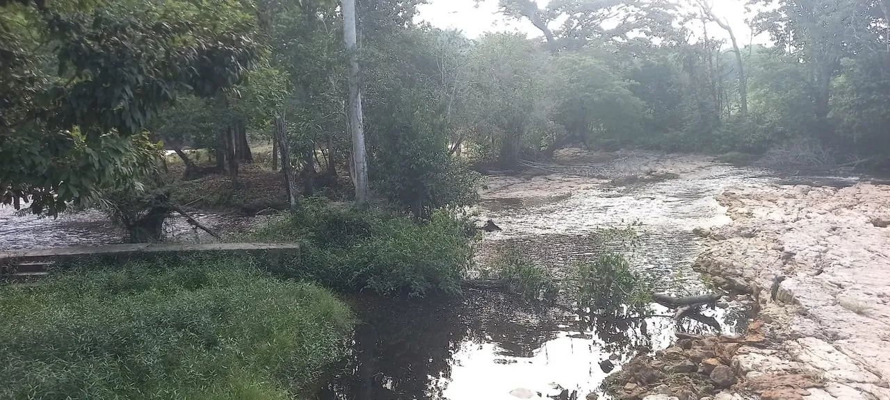 2 Lote a venda no Amazon Acqua Park - Foto 2