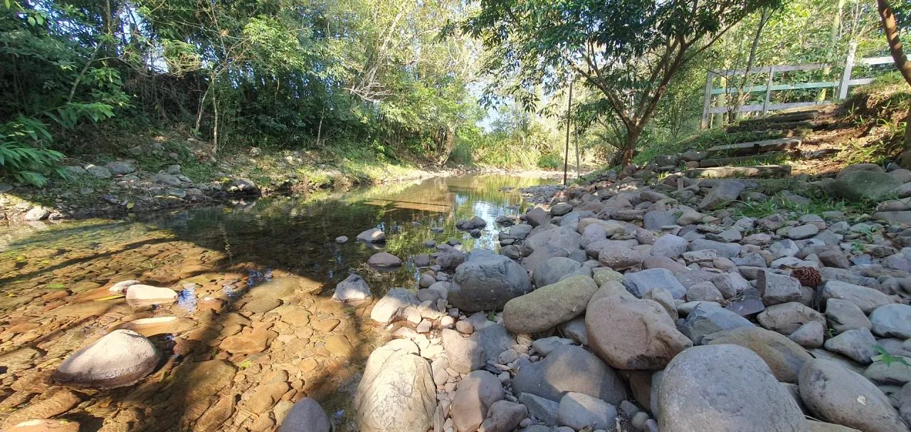 Lindo Sítio a venda no Bairro São Francisco - Nova Veneza - Foto 2