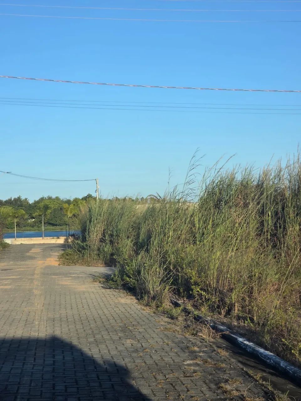 Terreno na Lagoa do Catu - Foto 4