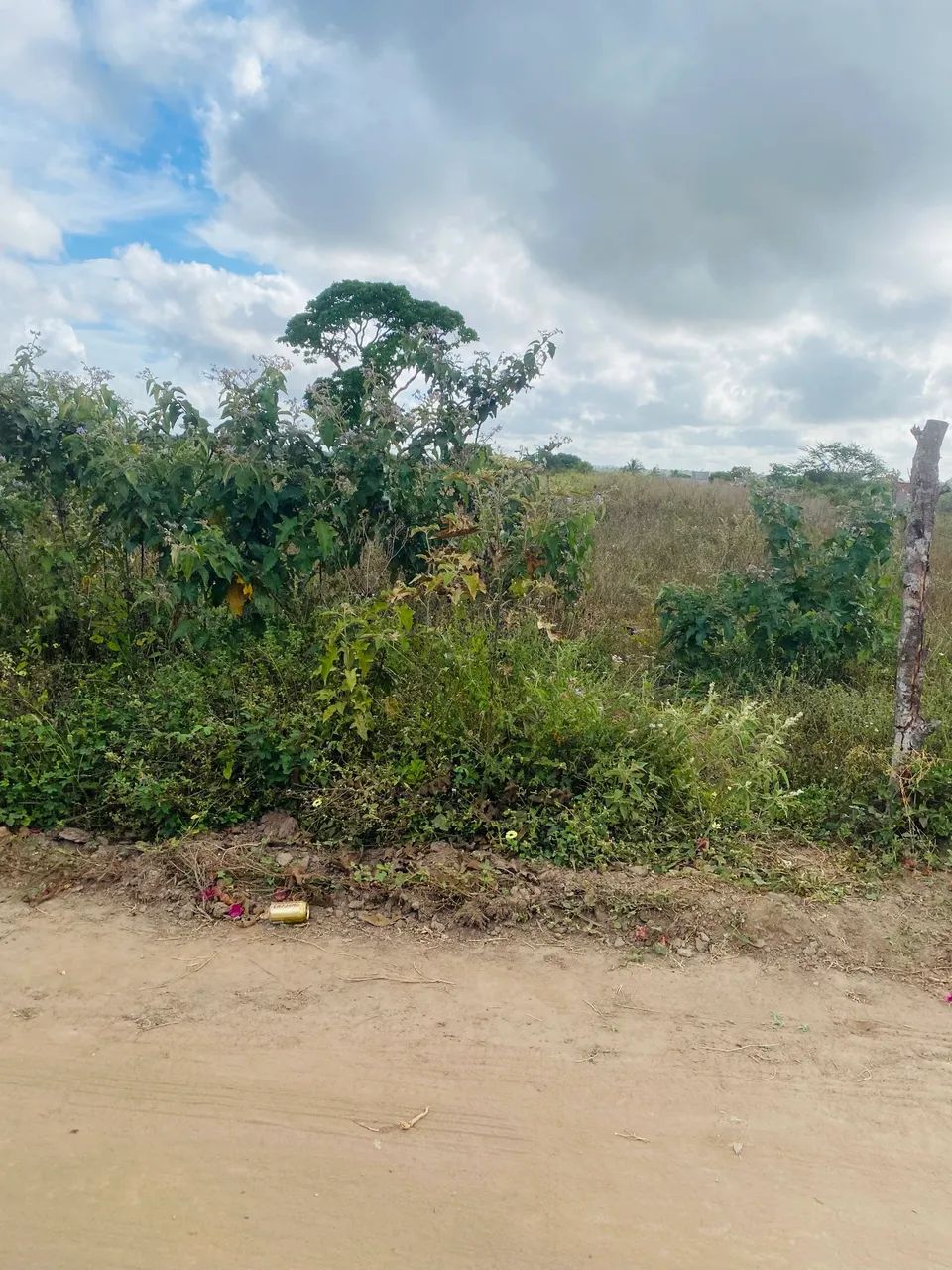 Terreno 