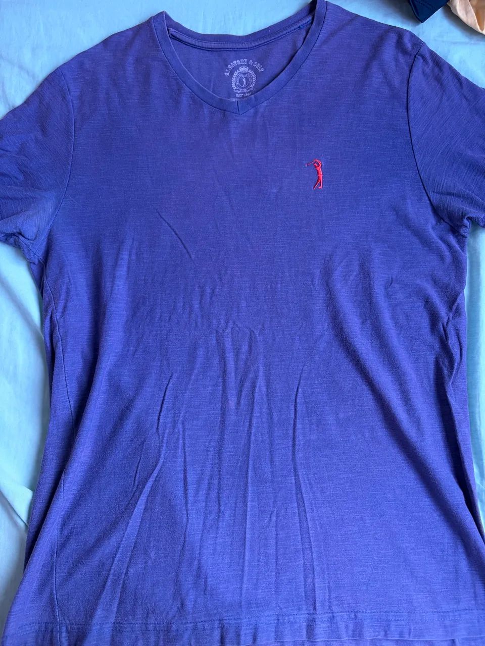 Camiseta gola V