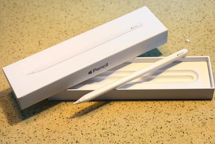 Apple Pencil 2ª Geração Original Apple (Modelo A2051