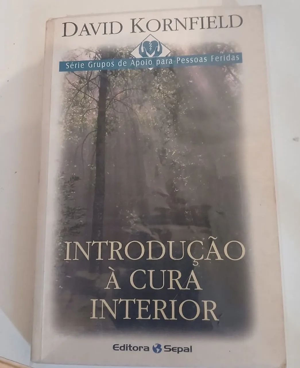 Introdução à cura interior 