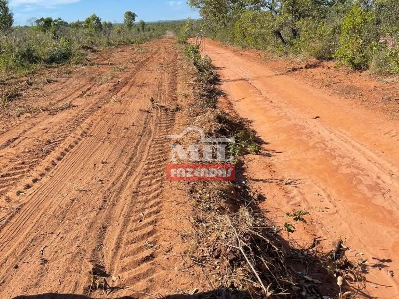 Fazenda com 8 Anos de Prazo no Tocantins. (13.000 Hectares)