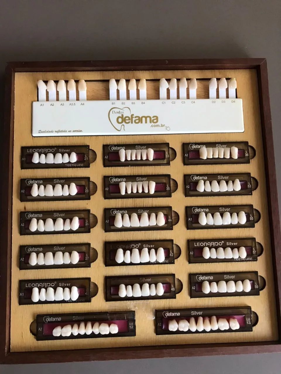 Quadro com Dentes Leonardo e Escala Defama