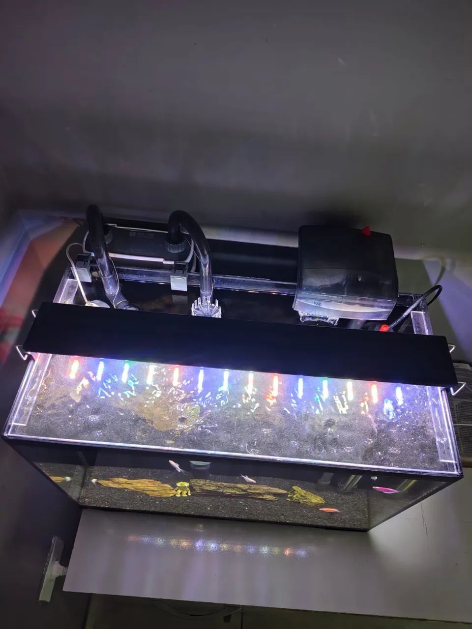 Aquário de 50 litros com itens - Foto 4