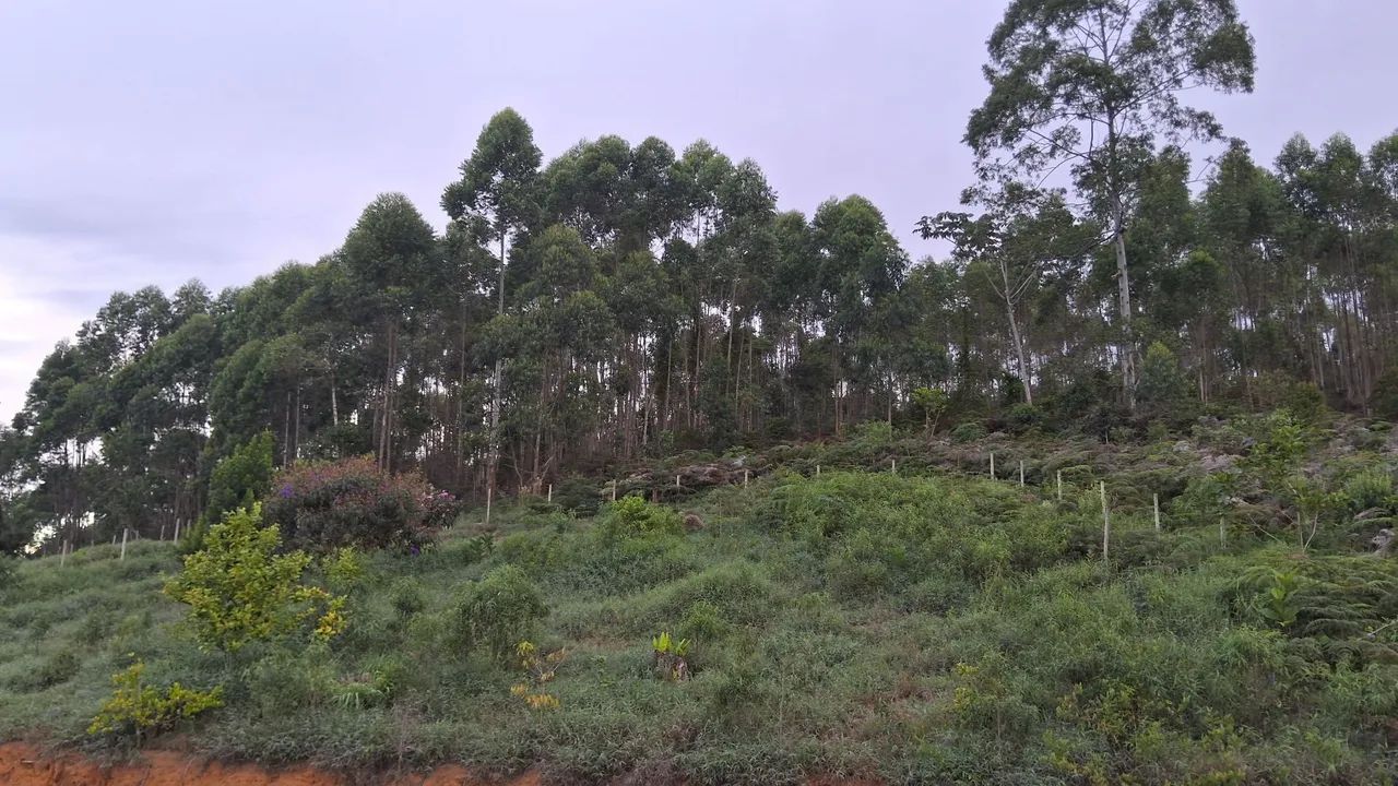 Chácara, sítio em santa maria de jetibá 