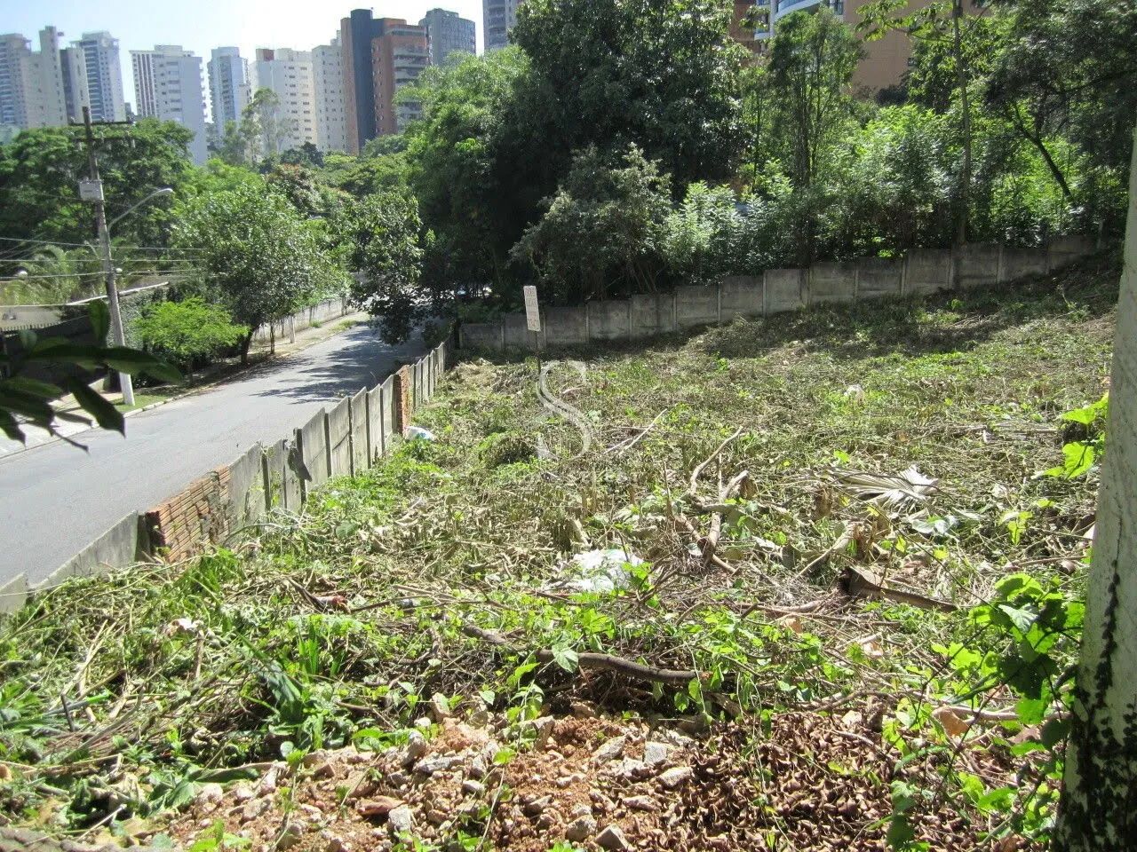 Terreno em São Paulo - Foto 4