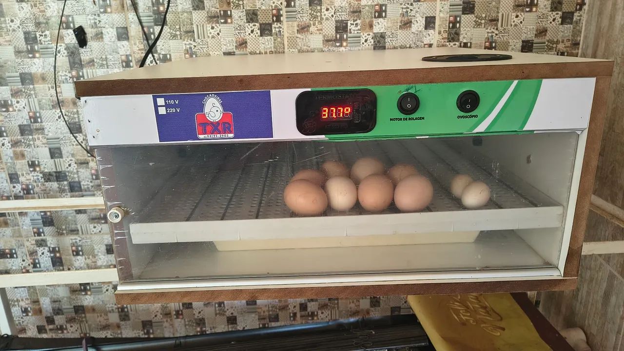 Chocadeira  - Foto 4