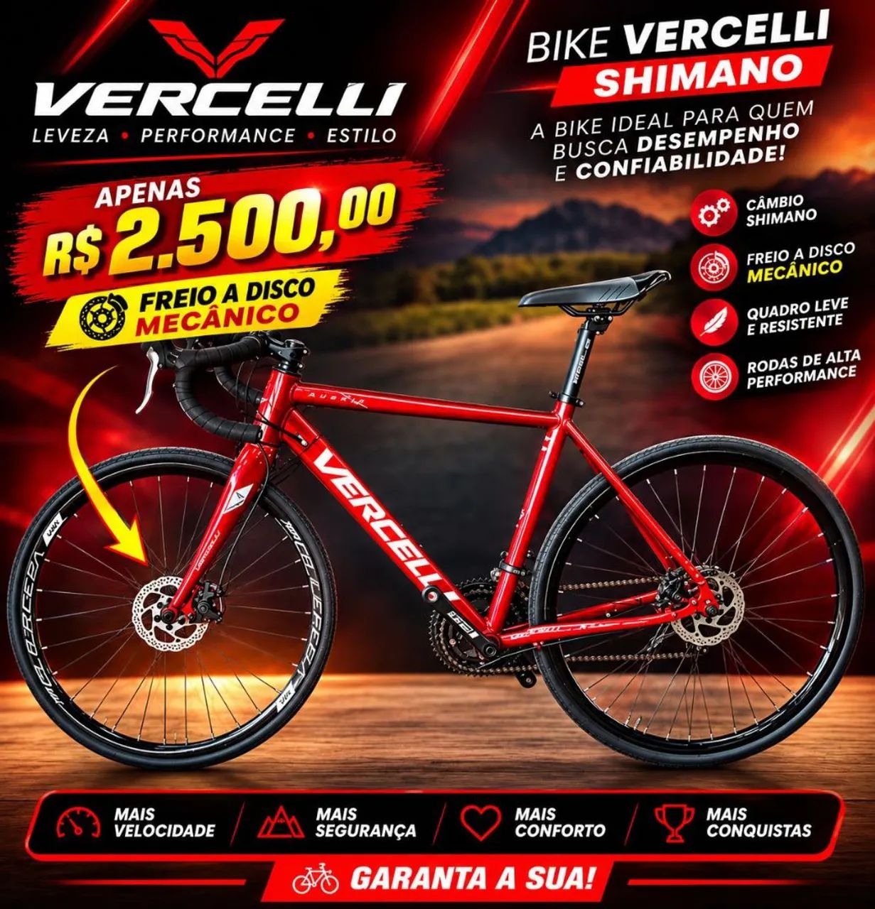Bicicleta speed